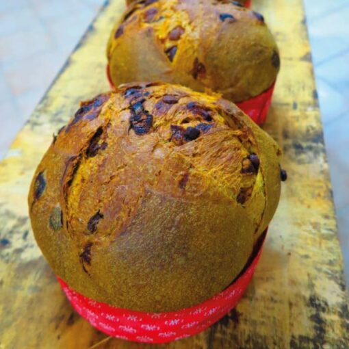 panettone-oddo-uvetta