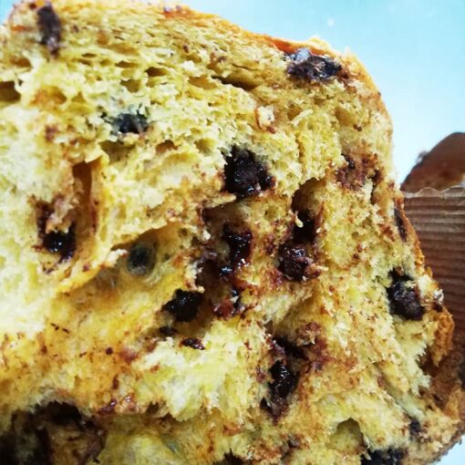 panettone cioccolato fratelli oddo