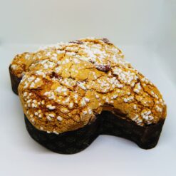 colomba-oddo