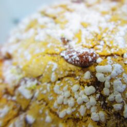 colomba-oddo2
