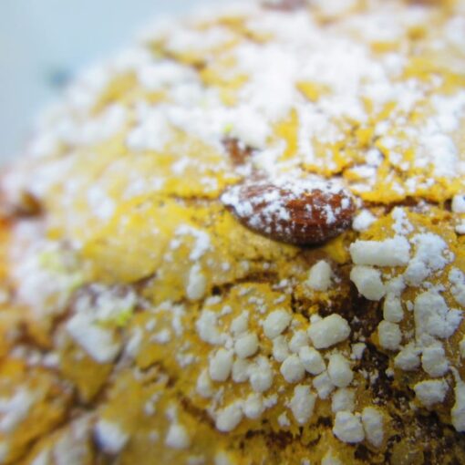 colomba-oddo2