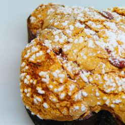 colomba-oddo3