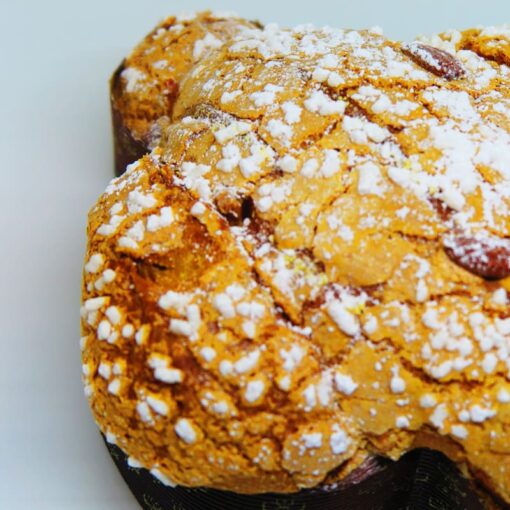 colomba-oddo3