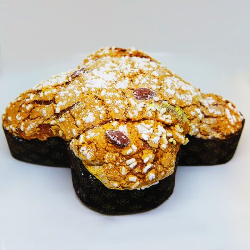 colomba-oddo4