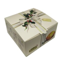 vizio-panettone-scatola